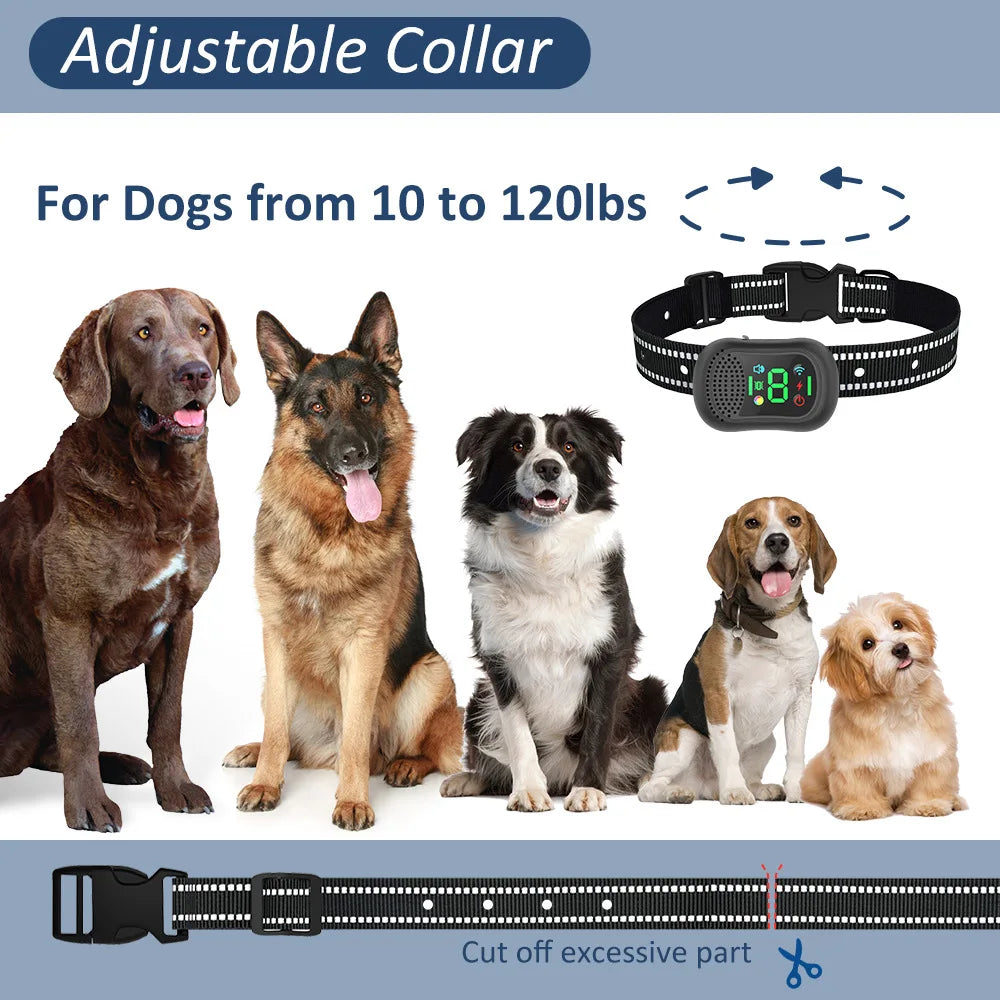 Dog Training Collar 6500FT with Remote Innovative IPX7 Waterproof with 4 Training Modes Rechargeable E-Collar for All Breeds