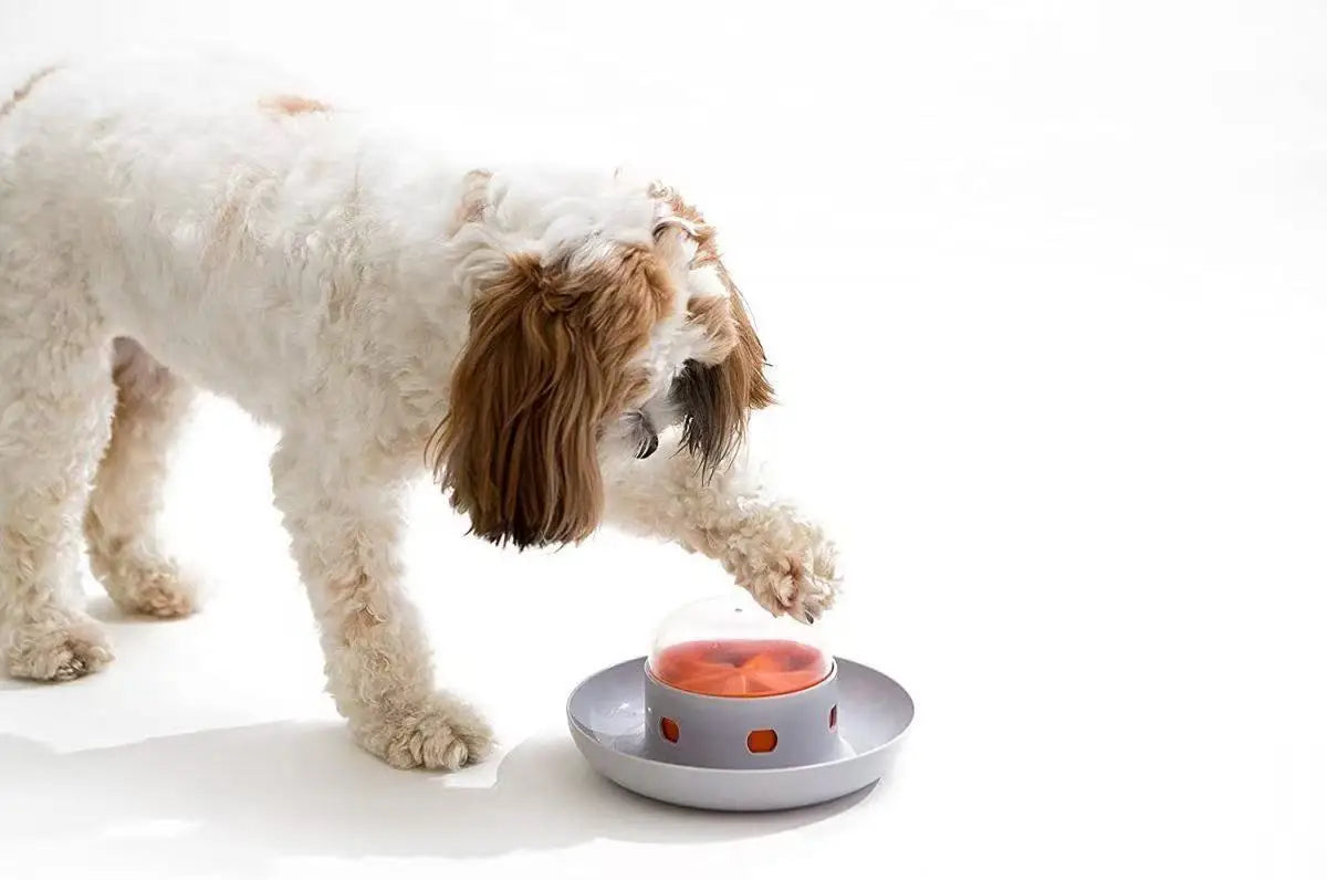 Interactive Dog Toy Pet Automatic Food Treat Dispenser Slow Food Pet Snack Feeder for Dog Cat Training