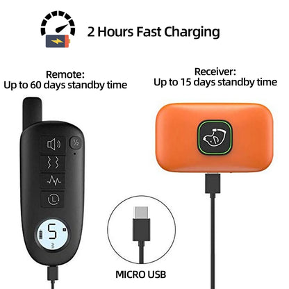 Electric Dog Training Collar Shock Vibration Sound Waterproof Dogs Anti Barking Collar for All Size Pet Training Tool ﻿