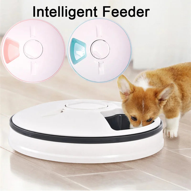 6 Meal Trays, Digital Timer, Portion Control, with Voice Recorder, Automatic Feeder for Dogs and Cats, Dry and Wet Food
