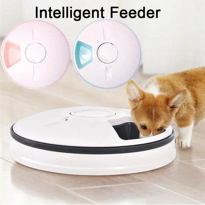 6 Meal Trays, Digital Timer, Portion Control, with Voice Recorder, Automatic Feeder for Dogs and Cats, Dry and Wet Food