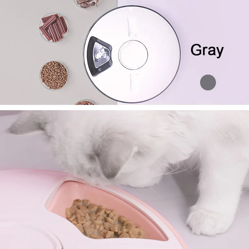 6 Meal Trays, Digital Timer, Portion Control, with Voice Recorder, Automatic Feeder for Dogs and Cats, Dry and Wet Food