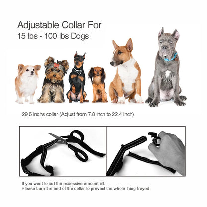 Remote Training Dog Collar, Electric Shock, Waterproof, Rechargeable, Bark Control, 400m, 2 Dogs