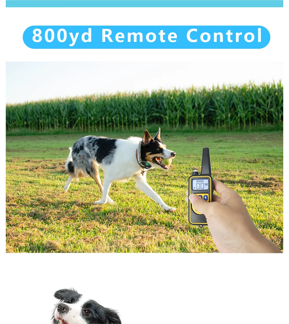 800M Dog Training Equipment Collar Professional Chain for 3 Dogs Small Large Bark with Remote Control 3 Mode Dog Training Collar