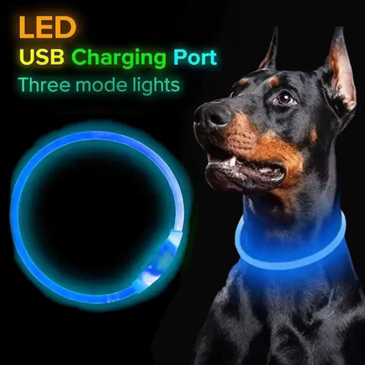 Led Usb Dog Collar Pet Dog Night Luminous Charge Collars Led Night Safety Flashing Glow Dog Loss Prevention LED Collar For Dogs