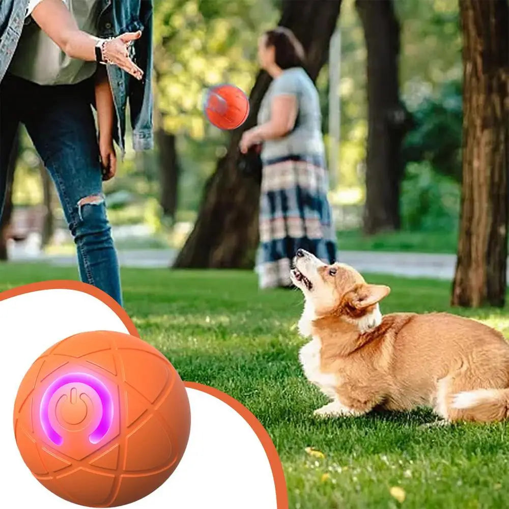 Dog Ball Toy LED Light Automatic Moving Dog Ball Interactive Rolling Shaky Ball Toy for Dogs Rechargeable pet Interactive Toys