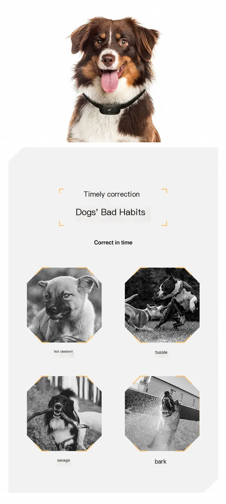 Dog training device remote control barking device pet dog trainer electric shock collar pet supplies waterproof