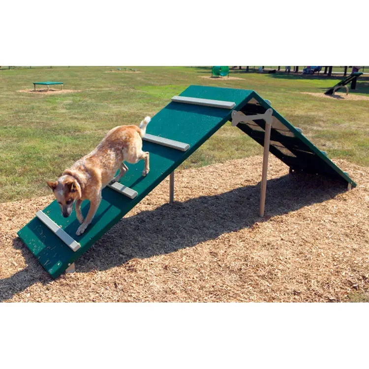 Dog Park Training playground Equipment Long Tunnel Run