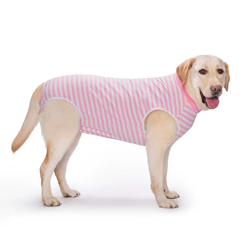 Dog Sterilization Suit Cotton Dog Recovery Suit Anti Licking Wounds Pet Care Clothes After Surgery Clothes Apparels Pet Supplies