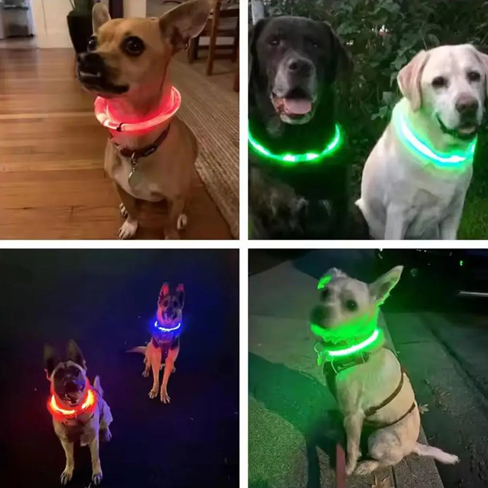 Led Usb Dog Collar Pet Dog Night Luminous Charge Collars Led Night Safety Flashing Glow Dog Loss Prevention LED Collar For Dogs