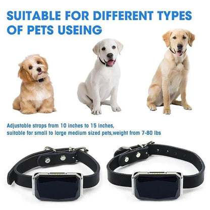 Multifunctional Pet Smart G12 GPS Tracker Mini Anti-Lost Collar Waterproof Locator Tracer Device For Dog Cat Pets Accessories