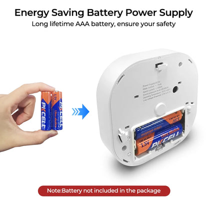 Smoke Alarm Fire Protection