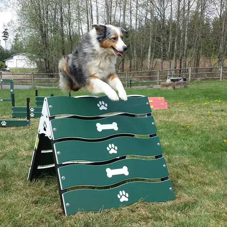 Dog Park Training playground Equipment Long Tunnel Run