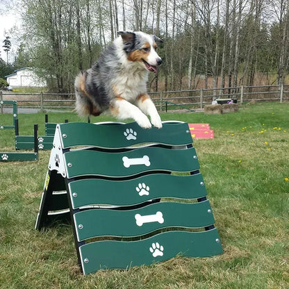 Dog Park Training playground Equipment Long Tunnel Run