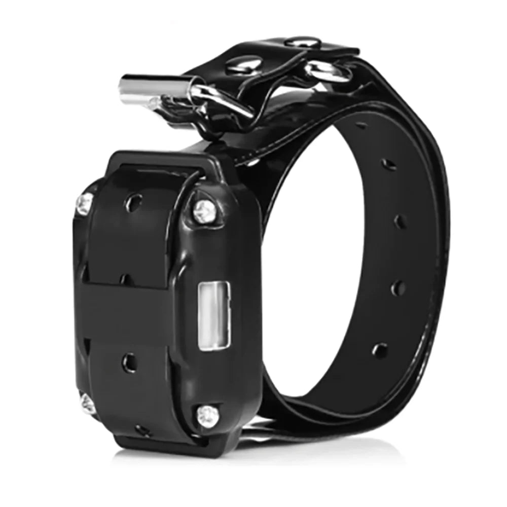 800M Dog Training Equipment Collar Professional Chain for 3 Dogs Small Large Bark with Remote Control 3 Mode Dog Training Collar