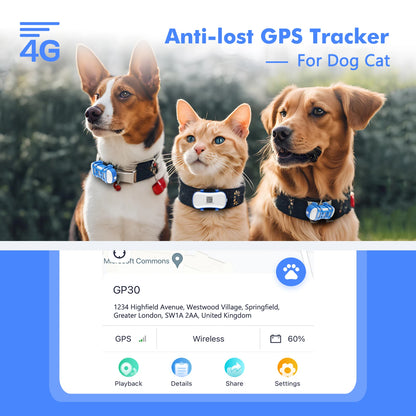 ‌4G Dog Cat GPS Tracker for Pets - Waterproof Smart Locator with App, Live Tracking & Light/Sound Search with Subscription
