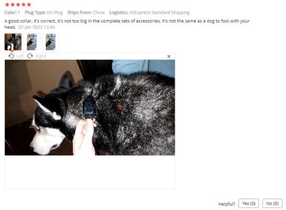 Training Collar Dog 800m Anti Bark Dog Collar Waterproof With Pet Rechargeable Pet Remote Control Electric Collar For Dogs