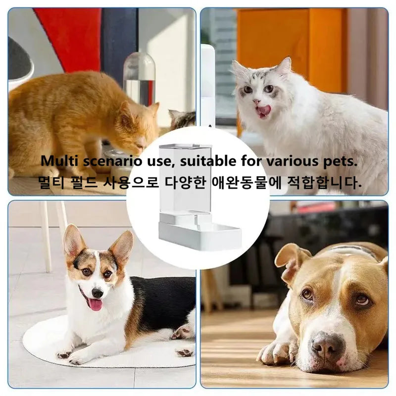 Dog Automatic Feeder Transparent Automatic Gravity Cat Water Bowl High Capacity Food Storage  Container Cat And Dog Accessories