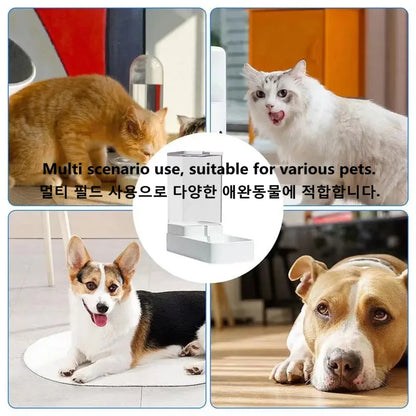 Dog Automatic Feeder Transparent Automatic Gravity Cat Water Bowl High Capacity Food Storage  Container Cat And Dog Accessories
