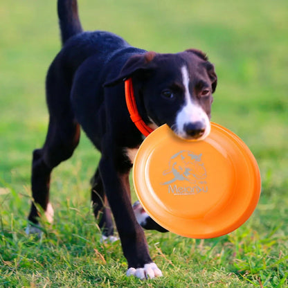 Dog Training Disc - Durable Pet for Puppy & Adult Dog Training, Lightweight Easy-Catch Dog Training Toy, Essential Pet Supplies