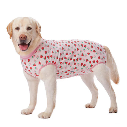 Dog Sterilization Suit Cotton Dog Recovery Suit Anti Licking Wounds Pet Care Clothes After Surgery Clothes Apparels Pet Supplies