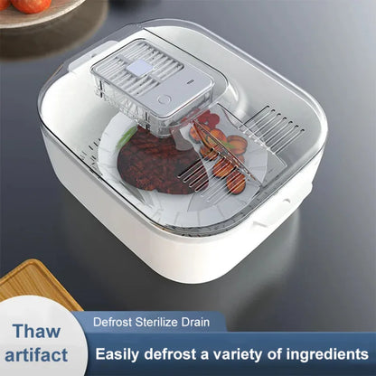 Multifunctional 4-in-1 Home Meat Defroster Large Capacity Kitchen Quick Defroster Food Steak Defroster Fruit Drainer Basket
