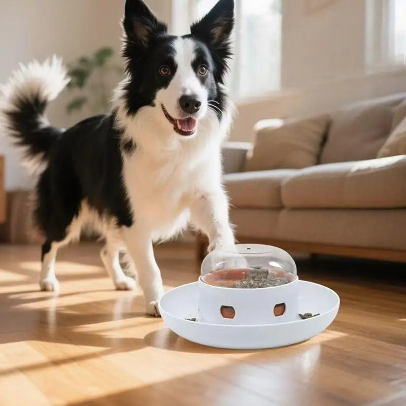 Interactive Dog Toy Pet Automatic Food Treat Dispenser Slow Food Pet Snack Feeder for Dog Cat Training