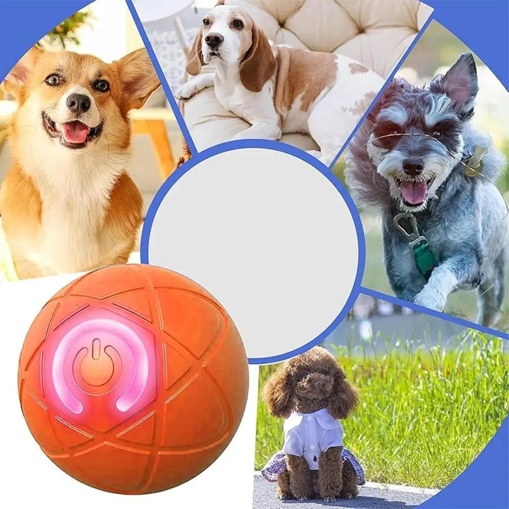 Dog Ball Toy LED Light Automatic Moving Dog Ball Interactive Rolling Shaky Ball Toy for Dogs Rechargeable pet Interactive Toys