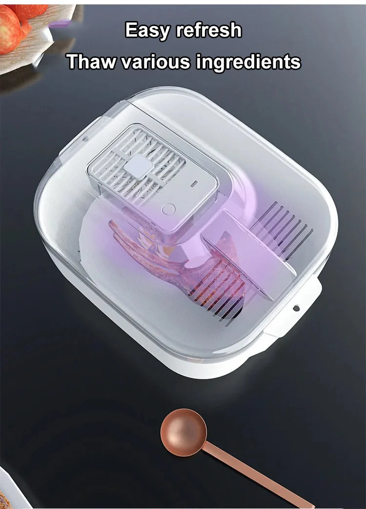 Multifunctional 4-in-1 Home Meat Defroster Large Capacity Kitchen Quick Defroster Food Steak Defroster Fruit Drainer Basket