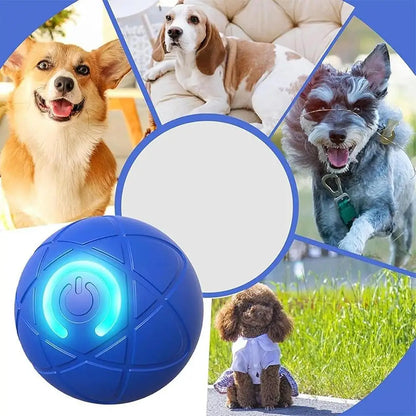 Dog Ball Toy LED Light Automatic Moving Dog Ball Interactive Rolling Shaky Ball Toy for Dogs Rechargeable pet Interactive Toys