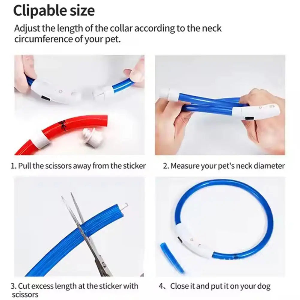 Led Usb Dog Collar Pet Dog Night Luminous Charge Collars Led Night Safety Flashing Glow Dog Loss Prevention LED Collar For Dogs