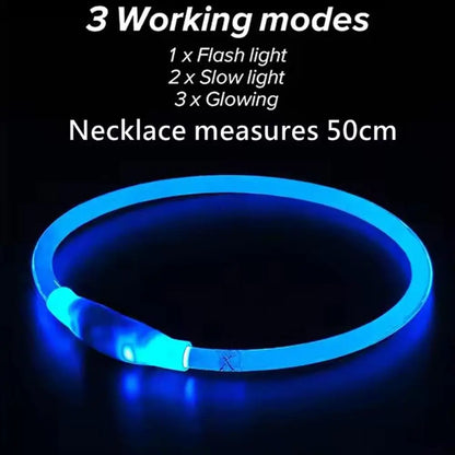 Led Usb Dog Collar Pet Dog Night Luminous Charge Collars Led Night Safety Flashing Glow Dog Loss Prevention LED Collar For Dogs