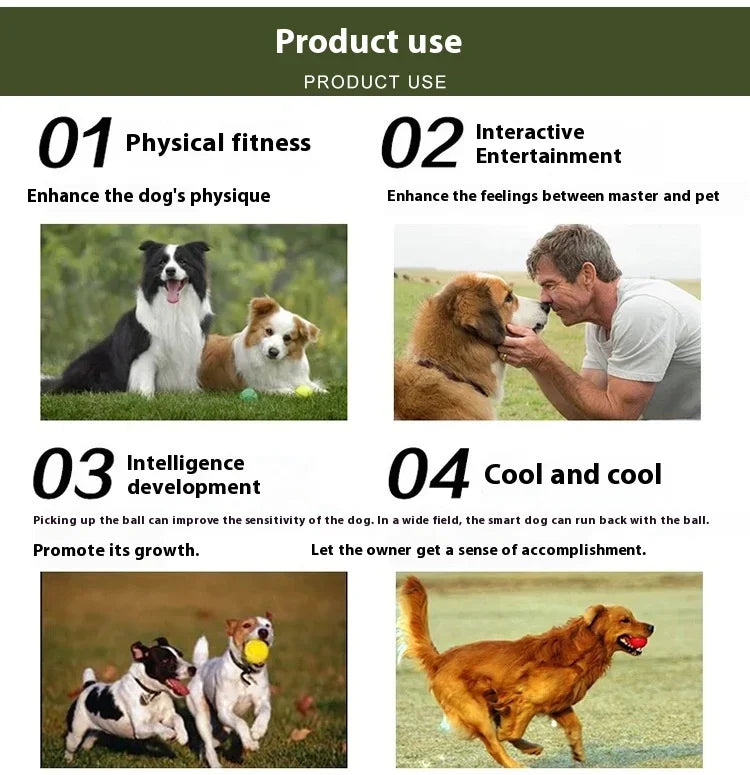 Pet Dog Tennis Training  Shooting Gun Supplies Launcher Outdoor Relieve Boredom Interactive Puzzle Toy Pet Toy Pet Training New