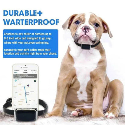 Multifunctional Pet Smart G12 GPS Tracker Mini Anti-Lost Collar Waterproof Locator Tracer Device For Dog Cat Pets Accessories
