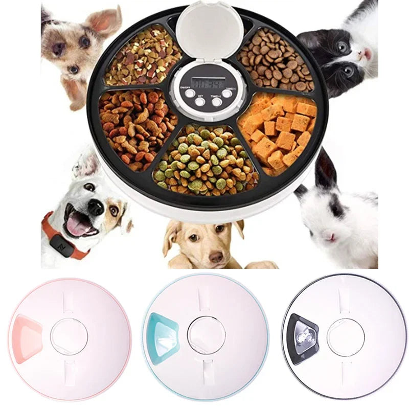 6 Meal Trays, Digital Timer, Portion Control, with Voice Recorder, Automatic Feeder for Dogs and Cats, Dry and Wet Food