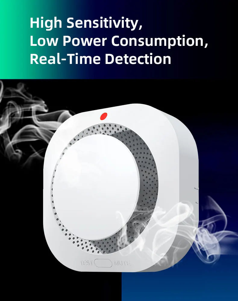 Smoke Alarm Fire Protection