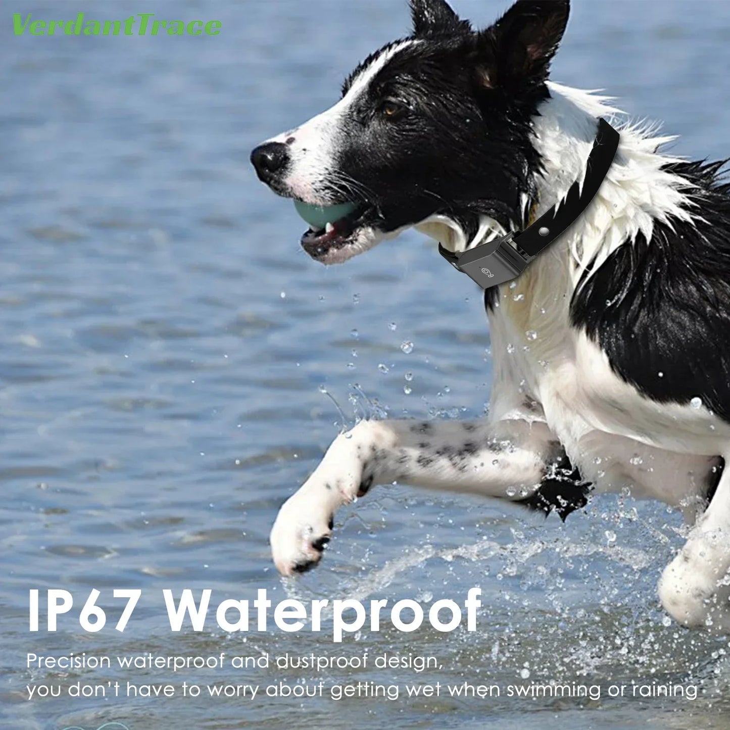 IP67 Waterproof Mini 4G GPS Animal Tracker Collar Anti-Lost Real Time Tracking Dog Cat Locator Pet Dog Cat Fashion Neck Collar