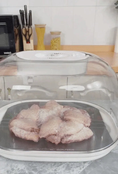 Multifunctional 4-in-1 Home Meat Defroster Large Capacity Kitchen Quick Defroster Food Steak Defroster Fruit Drainer Basket