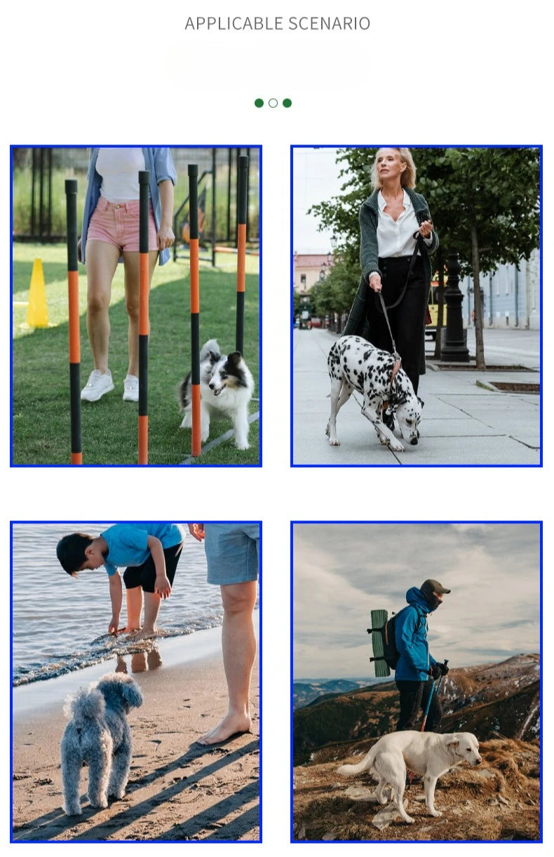 Pet Waste Bag Dispenser Holder With Belt Clip Leash Attachment For Dog Walking Cat Litter Biodegradable Refill Rolls Spring