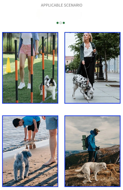 Pet Waste Bag Dispenser Holder With Belt Clip Leash Attachment For Dog Walking Cat Litter Biodegradable Refill Rolls Spring