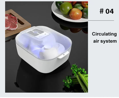 Multifunctional 4-in-1 Home Meat Defroster Large Capacity Kitchen Quick Defroster Food Steak Defroster Fruit Drainer Basket