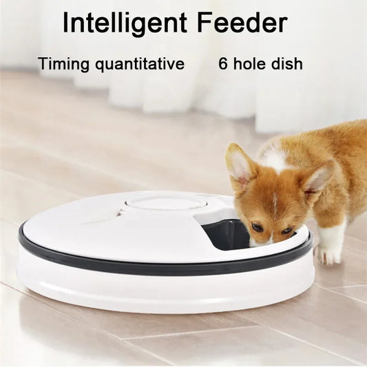 6 Meal Trays, Digital Timer, Portion Control, with Voice Recorder, Automatic Feeder for Dogs and Cats, Dry and Wet Food