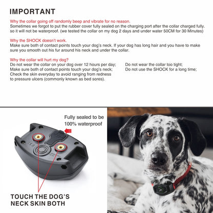 Remote Training Dog Collar, Electric Shock, Waterproof, Rechargeable, Bark Control, 400m, 2 Dogs