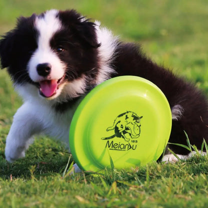 Dog Training Disc - Durable Pet  for Puppy & Adult Dog Training, Lightweight Easy-Catch Dog Training Toy, Essential Pet Supplies