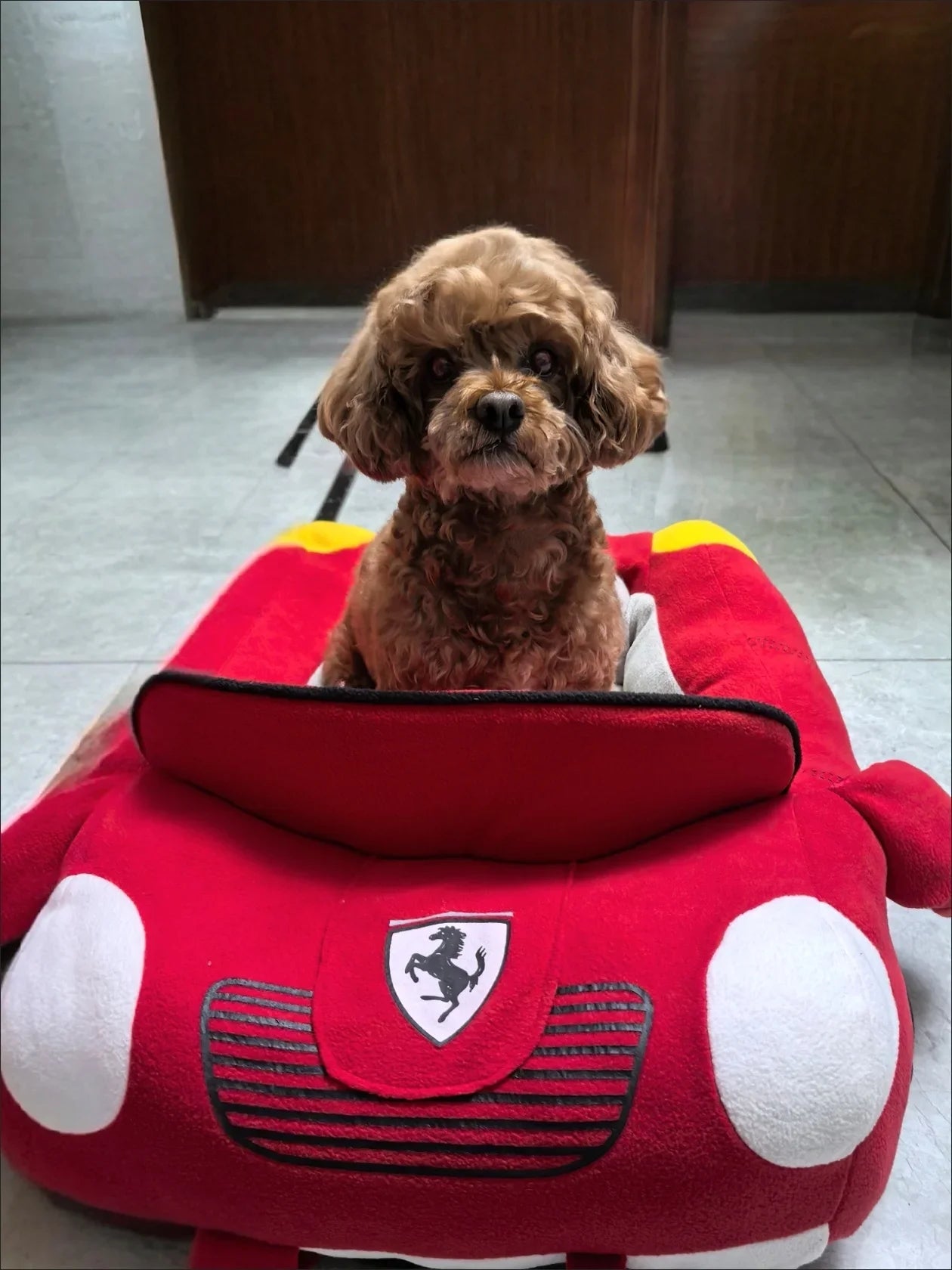 Large Car Shaped Dog Cat Bed Warm Pet House Cool Cartoon Shark Pet Cave Cat Dog Beds Sweet Kittens Basket Warm Cat Beds Cushion