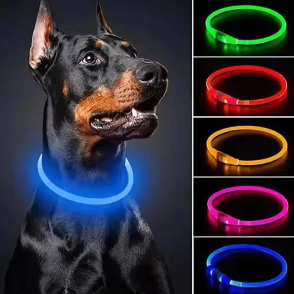 Led Usb Dog Collar Pet Dog Night Luminous Charge Collars Led Night Safety Flashing Glow Dog Loss Prevention LED Collar For Dogs