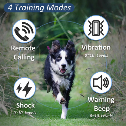 Dog Training Collar 6500FT with Remote Innovative IPX7 Waterproof with 4 Training Modes Rechargeable E-Collar for All Breeds