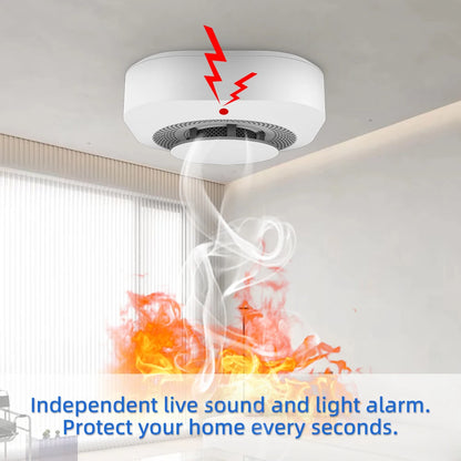 Smoke Alarm Fire Protection