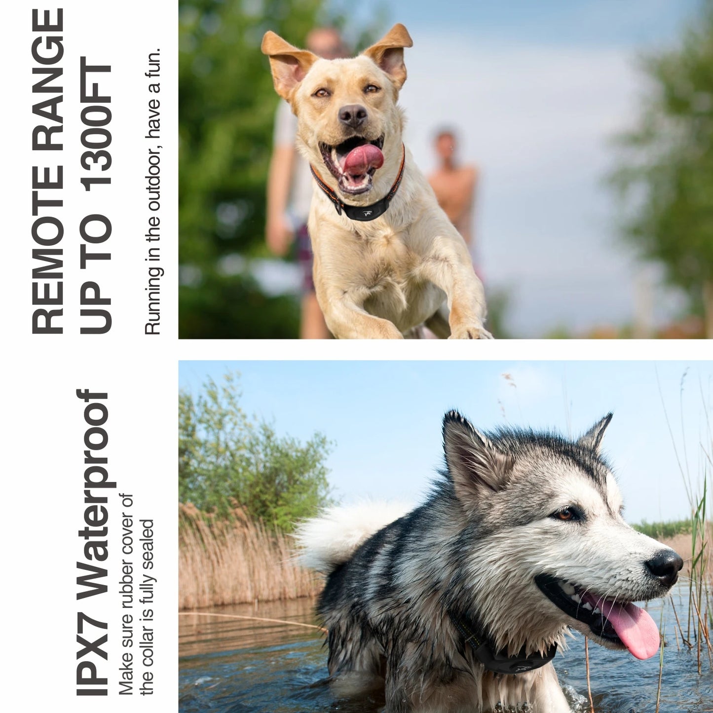 Remote Training Dog Collar, Electric Shock, Waterproof, Rechargeable, Bark Control, 400m, 2 Dogs