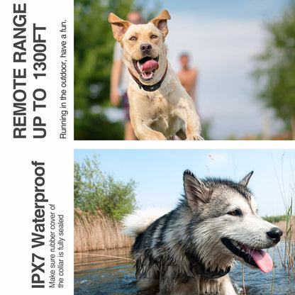 Remote Training Dog Collar, Electric Shock, Waterproof, Rechargeable, Bark Control, 400m, 2 Dogs